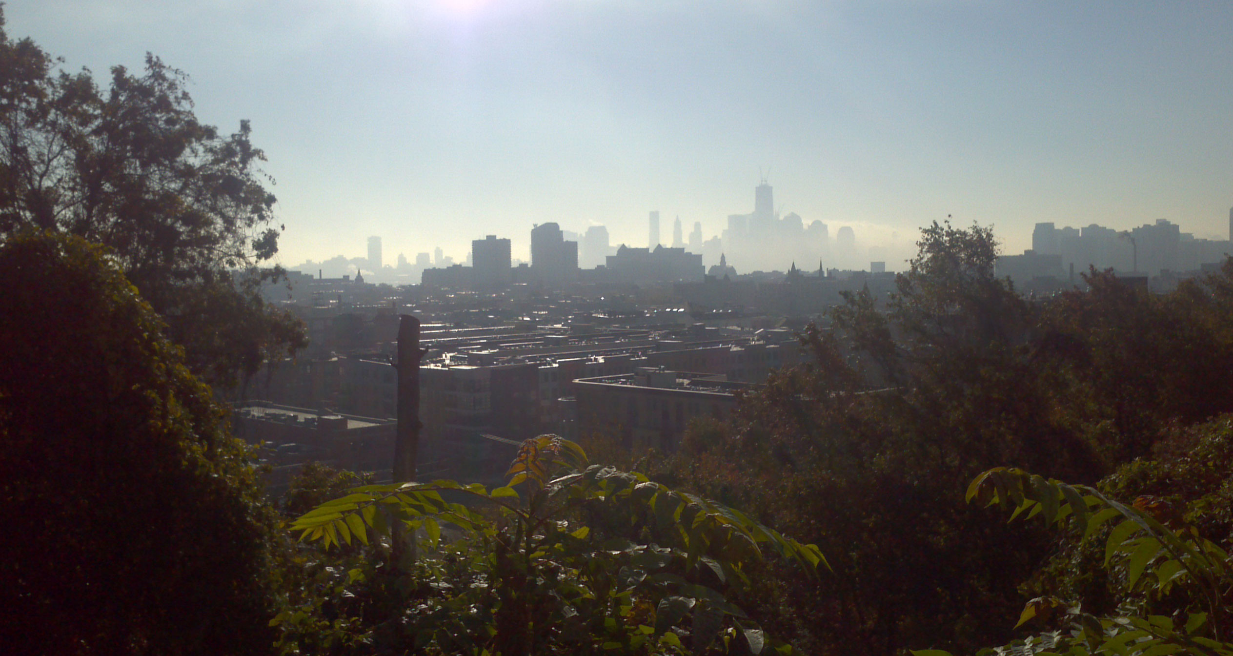 My Enchanting Technology Predictions for 2012