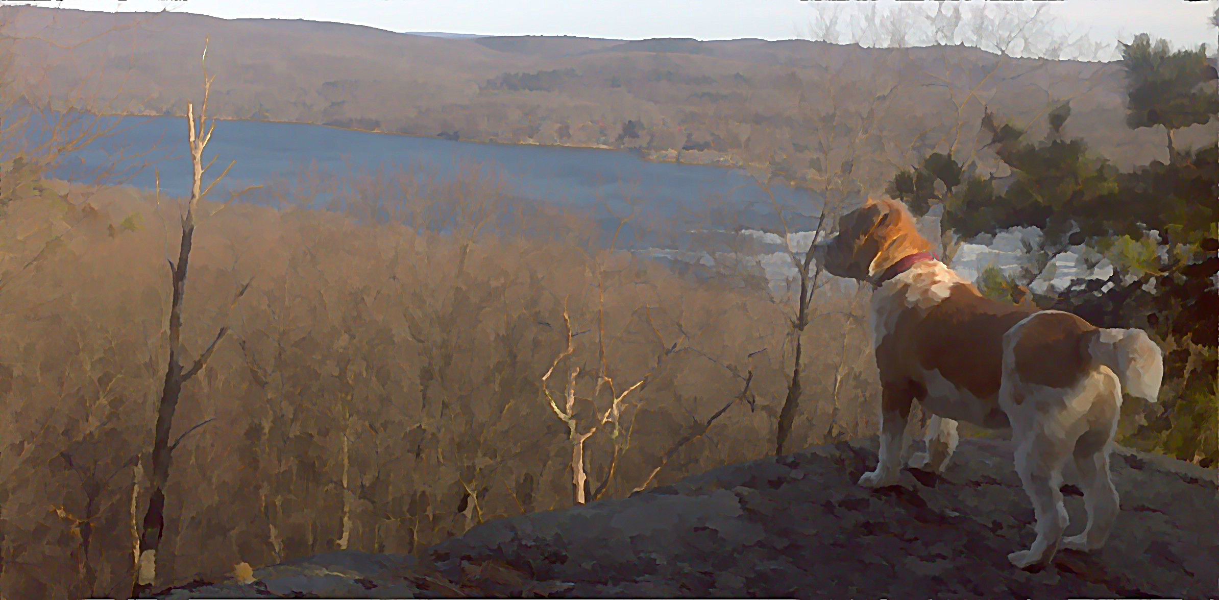 Video Ads on The Rise - Record Online Video CPM for Super Bowl