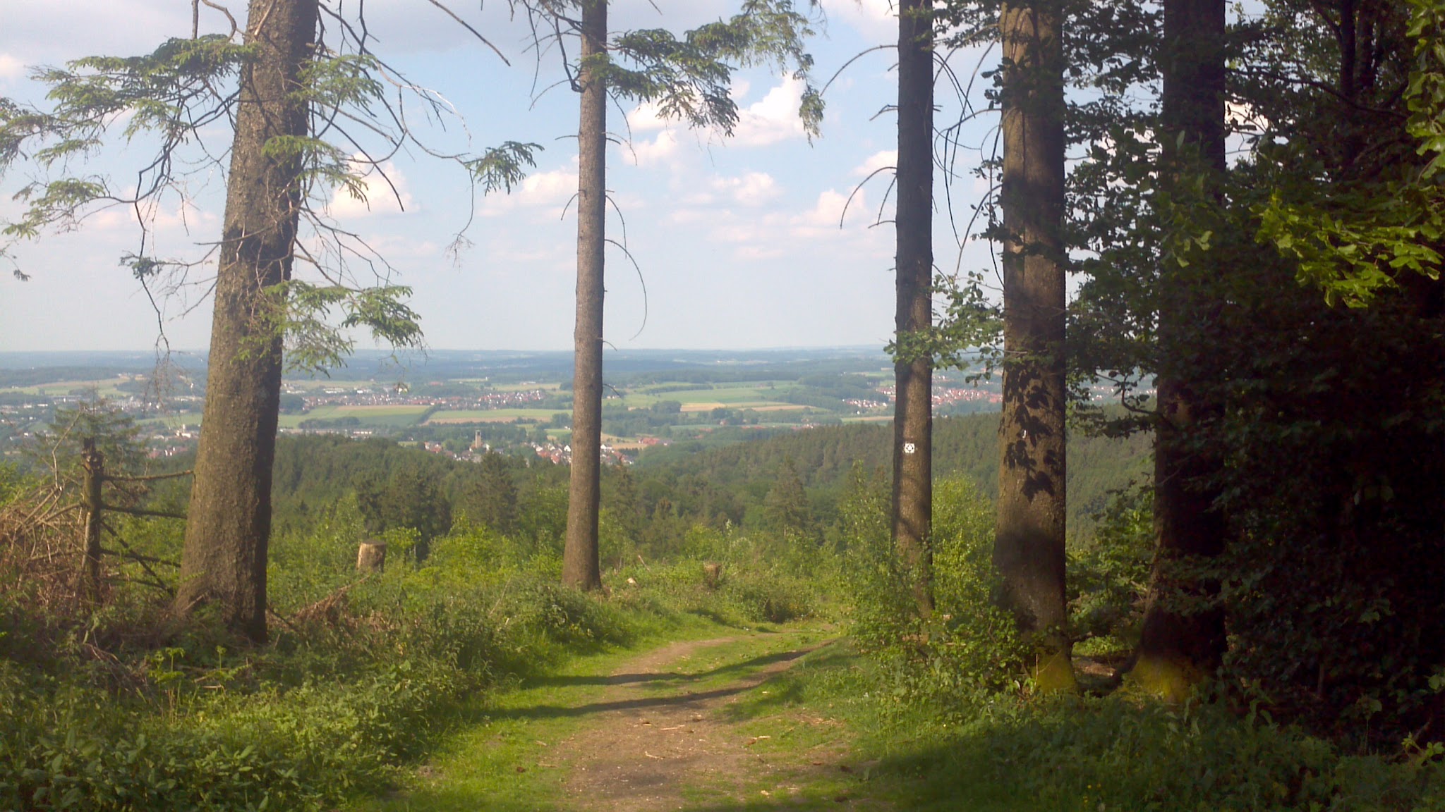 Adobe/Microsoft on Flash Player and Windows 8 Metro