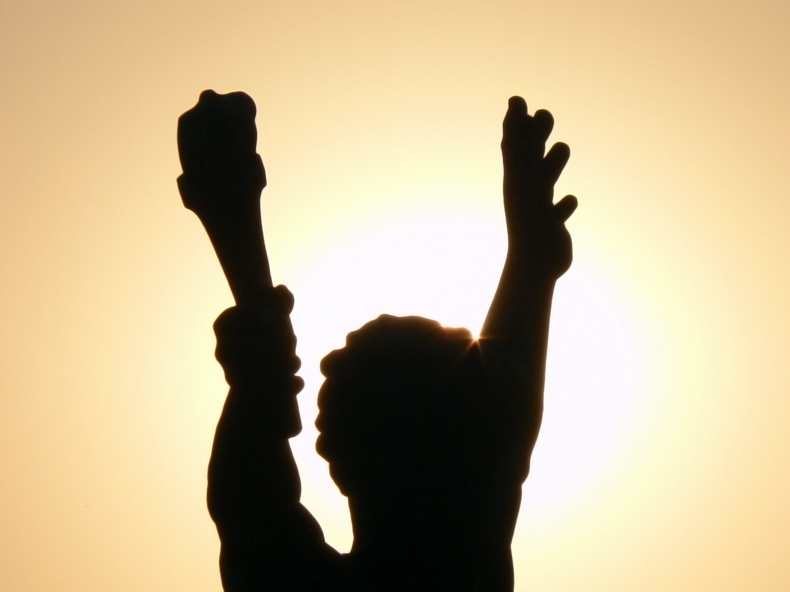 Streaming Media 2012 Reader's Choice Award Goes to Adobe Media Server, Auditude