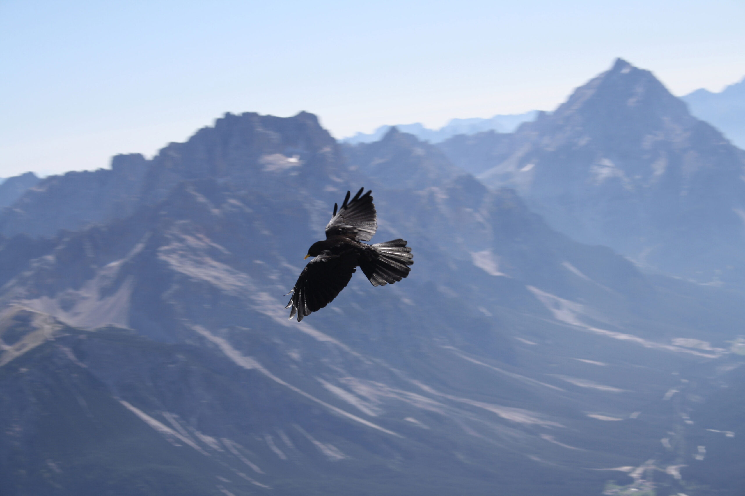 Flash P2P (RTMFP) Officially Submitted As Open Web Standard (IETF)