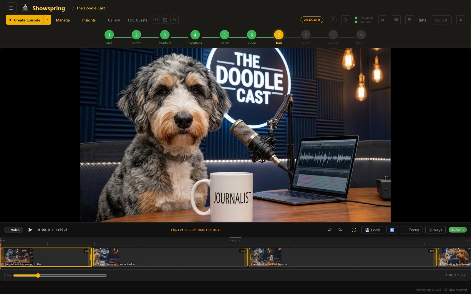 Video preview with clip navigation